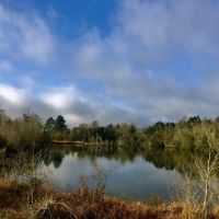 Hamilton Boulevard Tract images 5