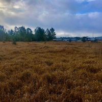 Hamilton Boulevard Tract images 4