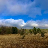 Hamilton Boulevard Tract images 3