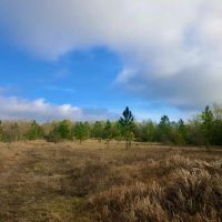 Hamilton Boulevard Tract images 6