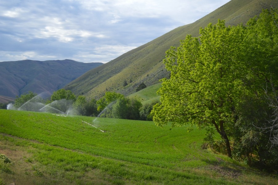 Daybreak Ranch featured image