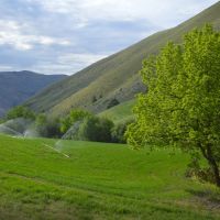 Daybreak Ranch