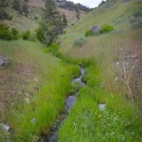 Daybreak Ranch images 2