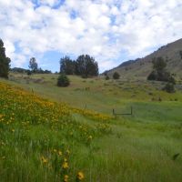 Daybreak Ranch images 5