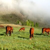 Powderhorn Creek Ranch images 2