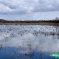 438 ac - Deer &nbsp; Duck Hunting WRP with House for Camp - Can Owner Finance images 2