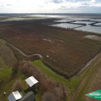 438 ac - Deer &nbsp; Duck Hunting WRP with House for Camp - Can Owner Finance images 3