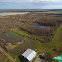 438 ac - Deer &nbsp; Duck Hunting WRP with House for Camp - Can Owner Finance images 4