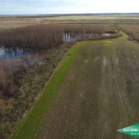 438 ac - Deer &nbsp; Duck Hunting WRP with House for Camp - Can Owner Finance images 5