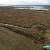 438 ac - Deer &nbsp; Duck Hunting WRP with House for Camp - Can Owner Finance images 6