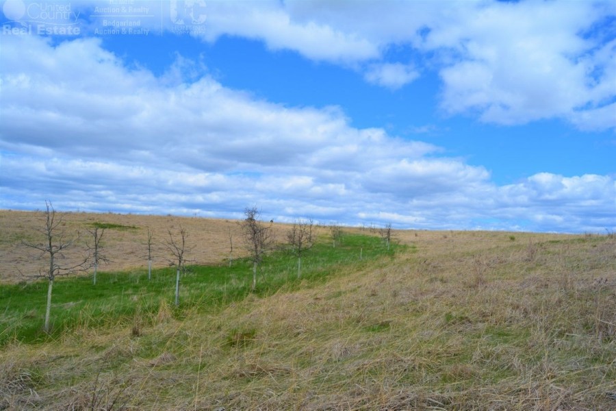 Building Site Surrounded by Natural Prairie in Iowa County WI featured image