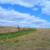 Building Site Surrounded by Natural Prairie in Iowa County WI