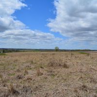 Building Site Surrounded by Natural Prairie in Iowa County WI images 5