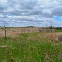 Building Site Surrounded by Natural Prairie in Iowa County WI images 6