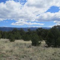 9 Milligan Ranch images 5