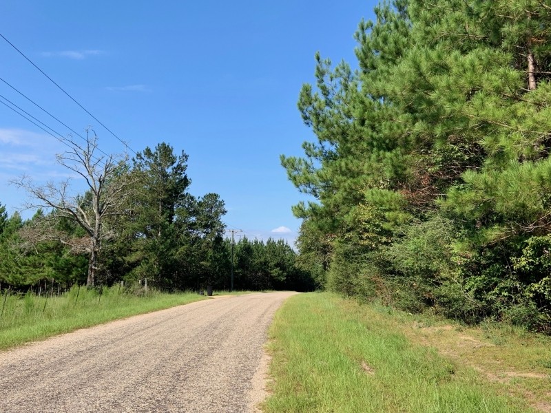 58 Acres Hunting Timber Land for Sale Marion County  MS featured image