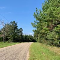 58 Acres Hunting Timber Land for Sale Marion County  MS