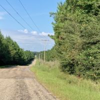 58 Acres Hunting Timber Land for Sale Marion County  MS images 2