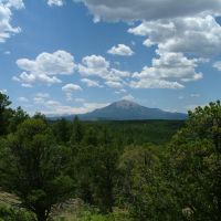 141 Blackhawk Ranch images 6