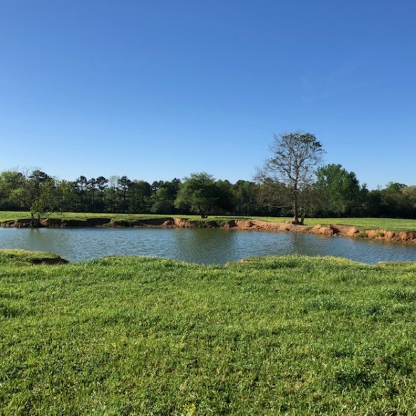 64 acres Cattle Operation with Trailer  Magnolia  MS featured image