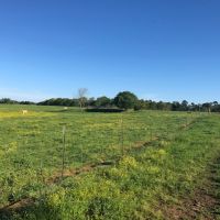 64 acres Cattle Operation with Trailer  Magnolia  MS images 3