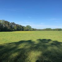 64 acres Cattle Operation with Trailer  Magnolia  MS images 5