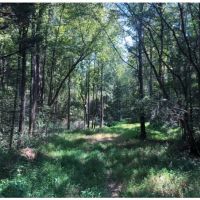 145.2 Acres in Lafayette County in Oxford  MS