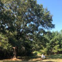 145.2 Acres in Lafayette County in Oxford  MS images 3