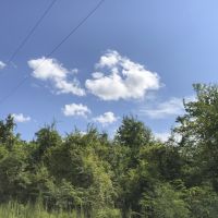 23 Acres &nbsp; Cleveland &nbsp; Worsham images 4