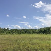 23 Acres &nbsp; Cleveland &nbsp; Worsham images 6