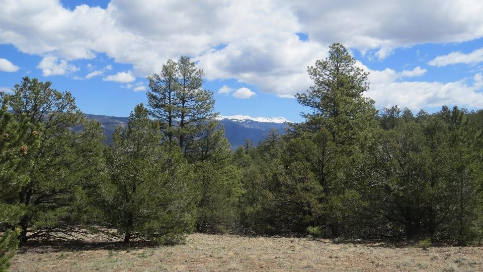 3 Milligan Ranch featured image
