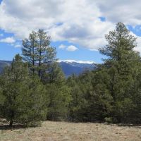 3 Milligan Ranch