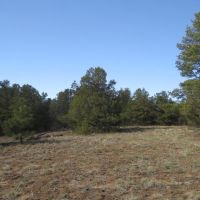 3 Milligan Ranch images 5