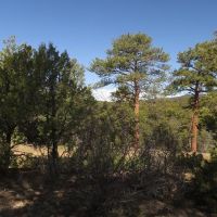 3 Milligan Ranch images 6