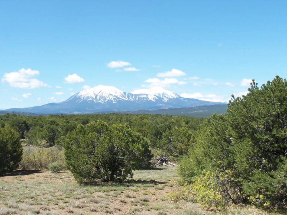 43 Silver Spurs Ranch featured image