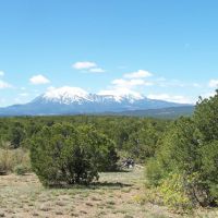 43 Silver Spurs Ranch
