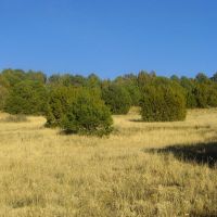 43 Silver Spurs Ranch images 4