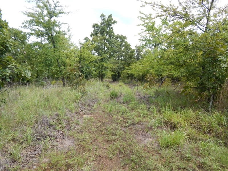 Hunting Rec Land near the Lake featured image