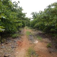 Hunting Rec Land near the Lake images 2