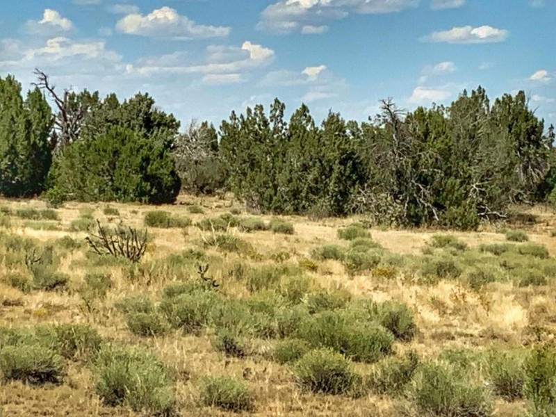 TBD Turkey Ridge East Lot 32 featured image