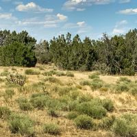 TBD Turkey Ridge East Lot 32