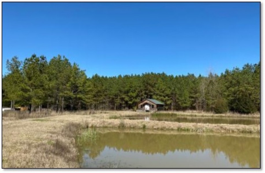 445.8 Acres in Holmes County in Lexington  MS featured image