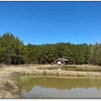 445.8 Acres in Holmes County in Lexington  MS