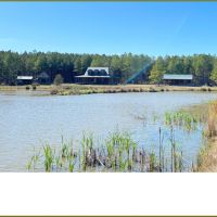 445.8 Acres in Holmes County in Lexington  MS images 2