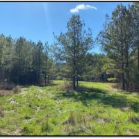 445.8 Acres in Holmes County in Lexington  MS images 3