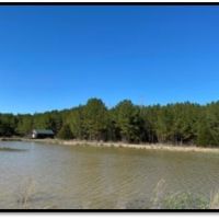 445.8 Acres in Holmes County in Lexington  MS images 4