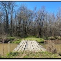 445.8 Acres in Holmes County in Lexington  MS images 5