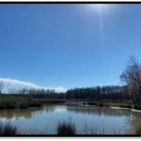 445.8 Acres in Holmes County in Lexington  MS images 6