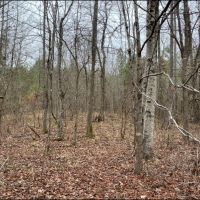 102 Acres in Montgomery County in Kilmichael  MS