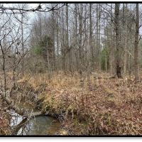 102 Acres in Montgomery County in Kilmichael  MS images 4